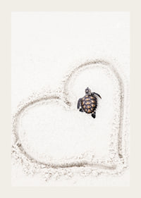 Little sea turtle on light sand surrounded by heart-3
