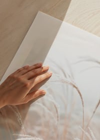 Fotografisk närbild av frosttäckt pampasgräs i mjuka beige toner-9