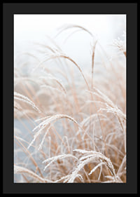 Fotografisk närbild av frosttäckt pampasgräs i mjuka beige toner-4