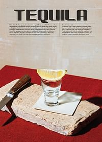 This Is Tequila Shot-1
