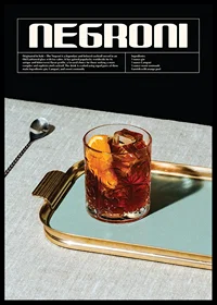 Photographic Negroni cocktail in glass with orange slice-0
