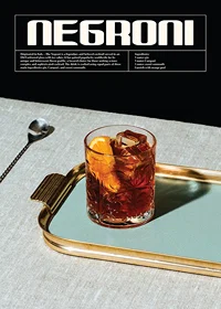 Photographic Negroni cocktail in glass with orange slice-1