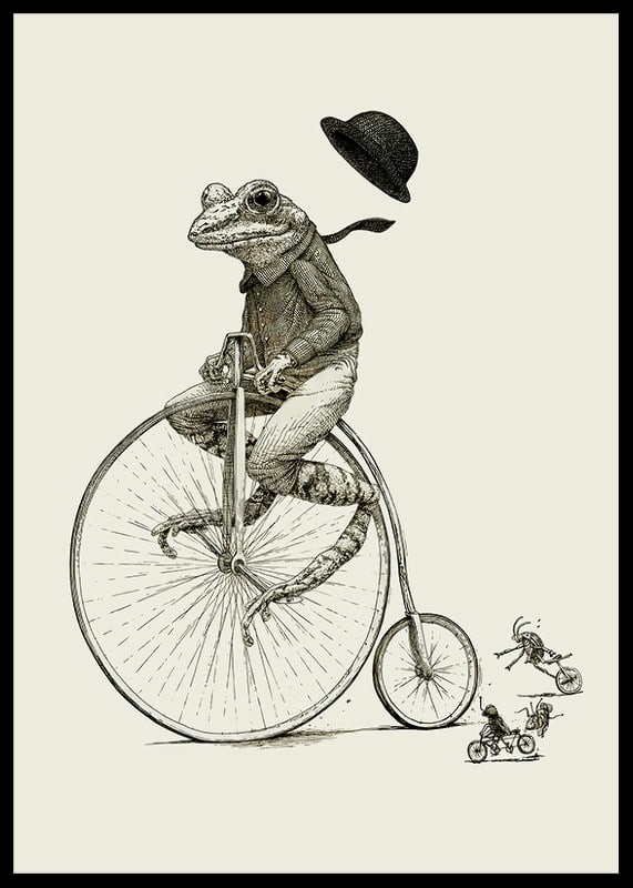 Detailed illustration of frog on high wheel with bow tie-12