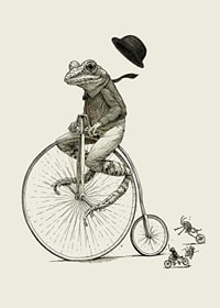 Detailed illustration of frog on high wheel with bow tie-7