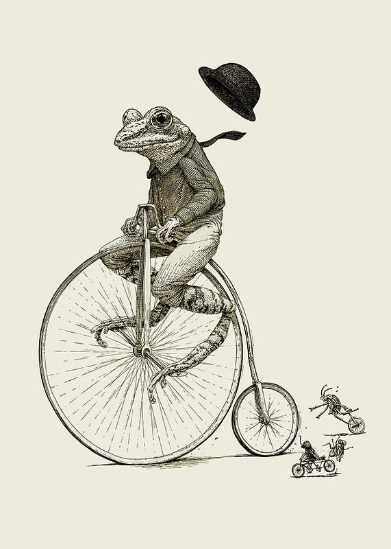 Detailed illustration of frog on high wheel with bow tie-12