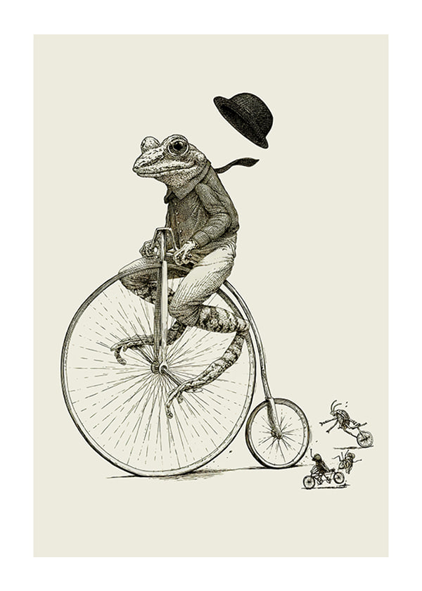 Plakāts Frog On A Bicycle