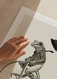 Detailed illustration of frog on high wheel with bow tie-9