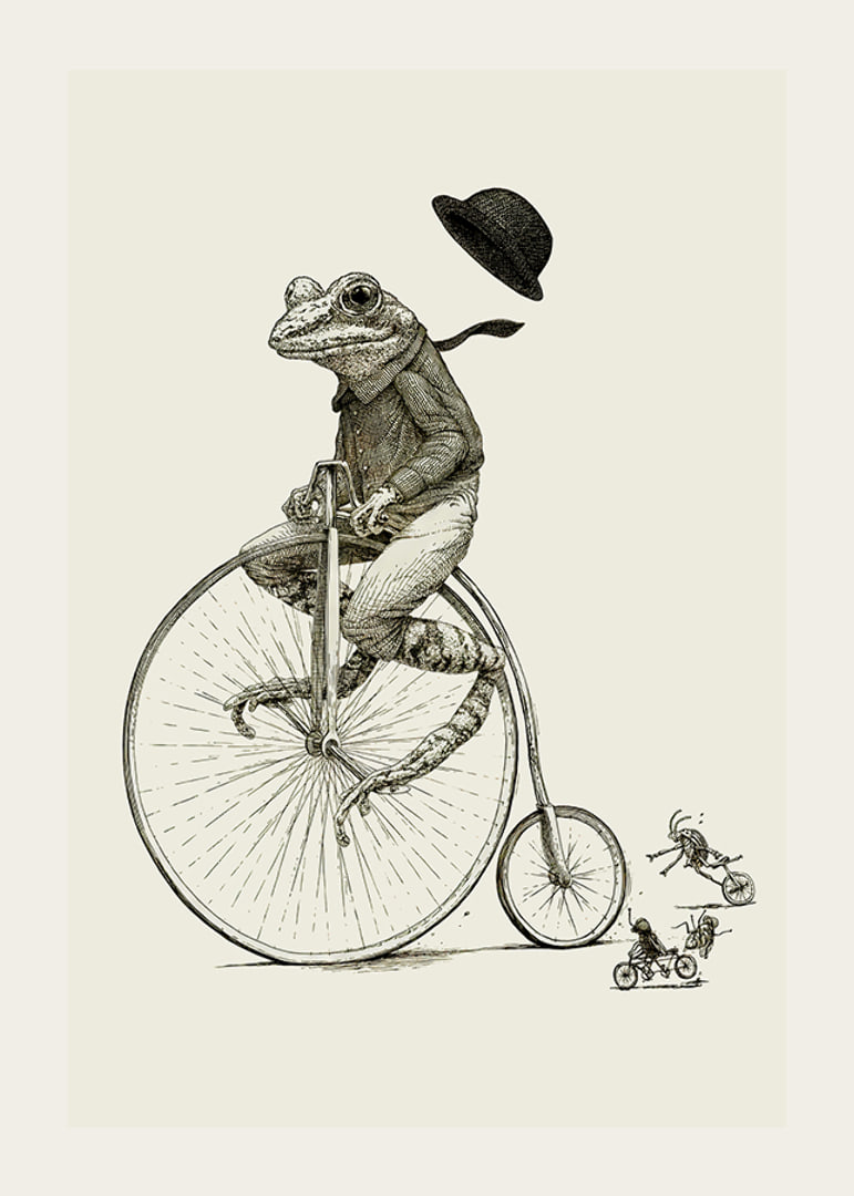 Detailed illustration of frog on high wheel with bow tie-12