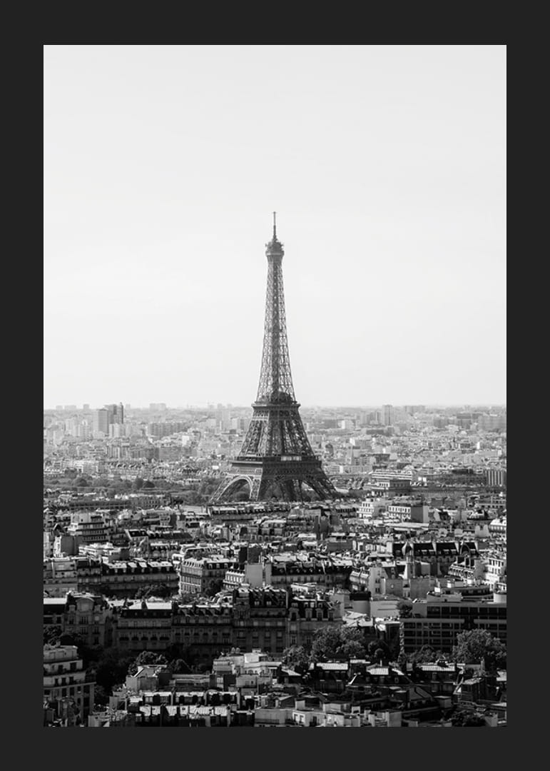 Czarno-biały widok na Wieżę Eiffla i centrum Paryża-12