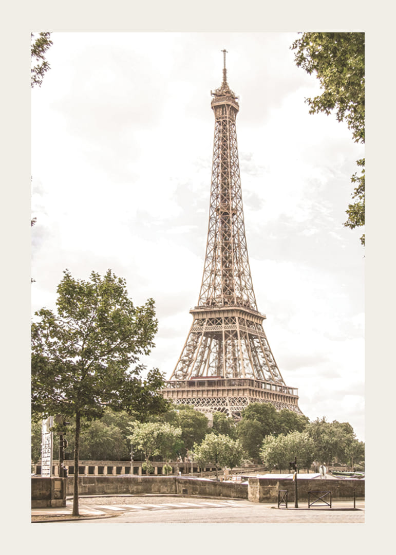 Photographic view of the Eiffel Tower surrounded by greenery-12