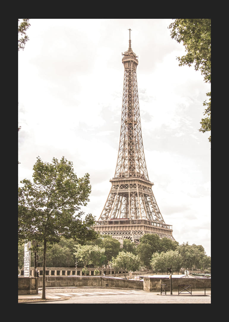 Photographic view of the Eiffel Tower surrounded by greenery-12