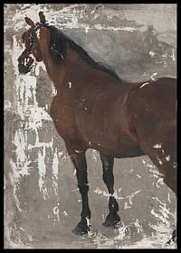 Štúdia koňa By Jozef Hanula-2