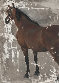 Štúdia koňa By Jozef Hanula-9