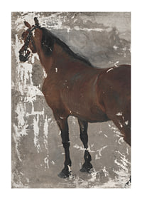 Štúdia koňa By Jozef Hanula-3