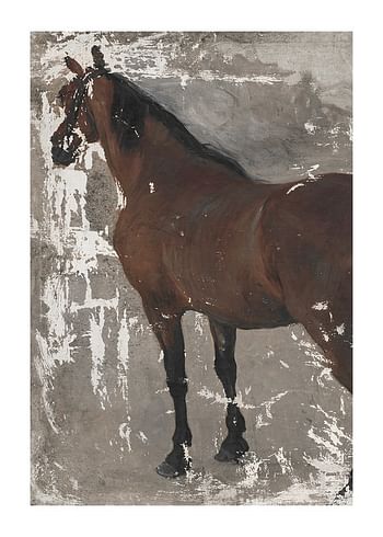 Affiche Štúdia koňa By Jozef Hanula