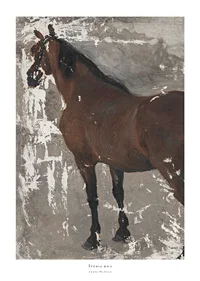 Štúdia koňa By Jozef Hanula-1