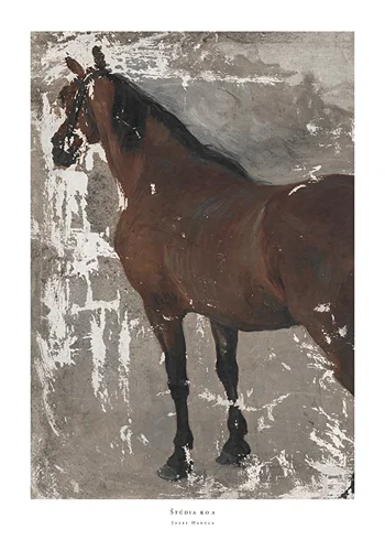 Poster Štúdia koňa By Jozef Hanula