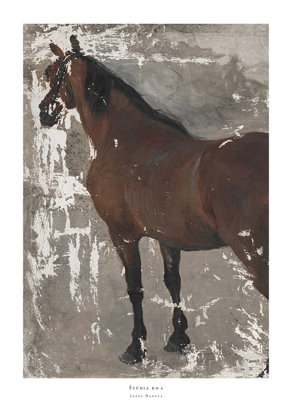 Plakatas Štúdia koňa By Jozef Hanula
