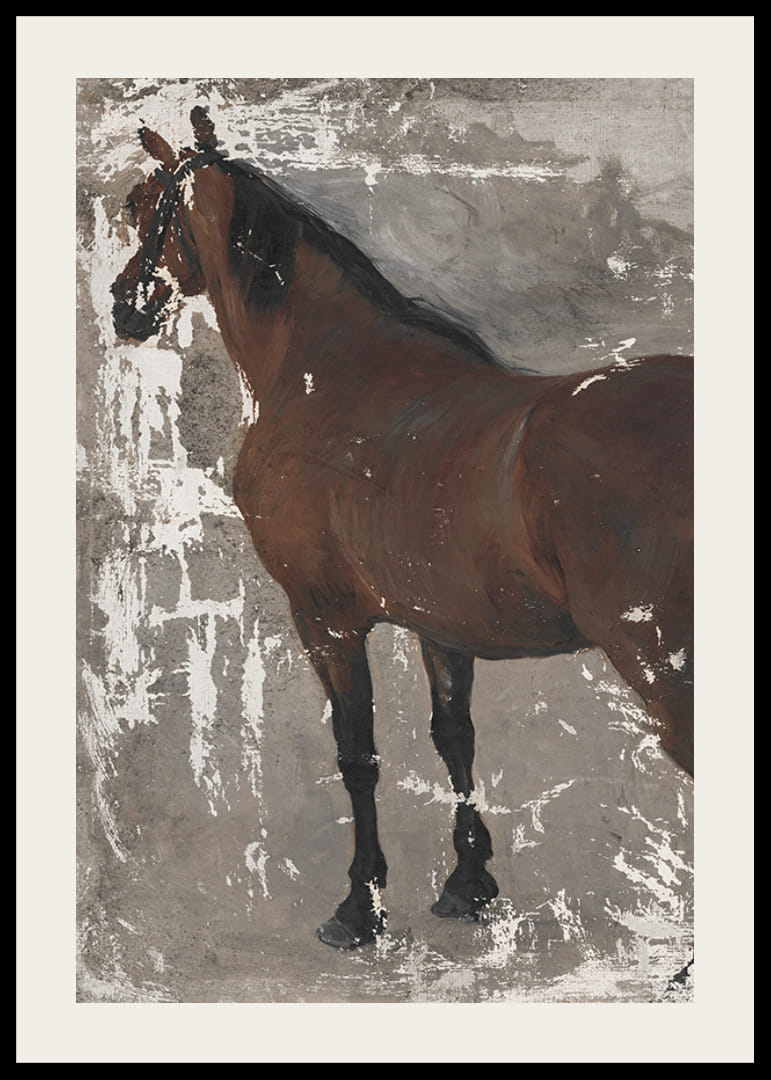 Štúdia koňa By Jozef Hanula-12