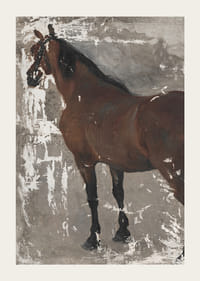 Štúdia koňa By Jozef Hanula-5