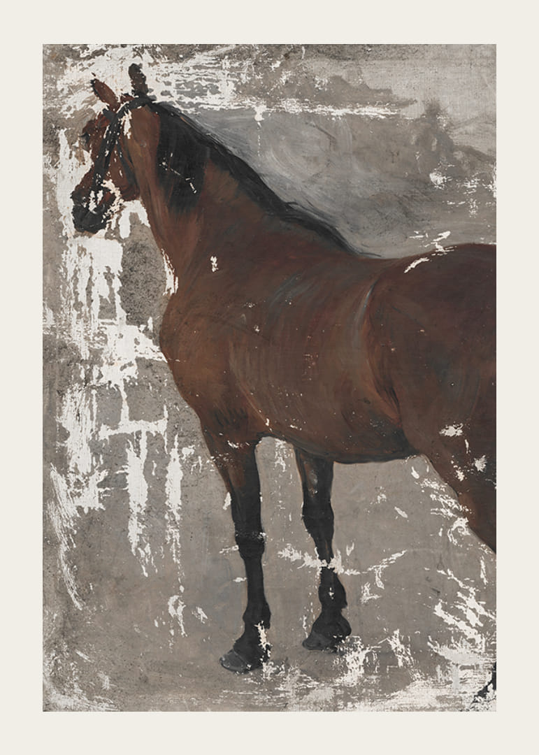 Štúdia koňa By Jozef Hanula-12