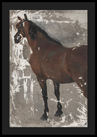 Štúdia koňa By Jozef Hanula-6