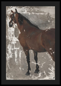 Štúdia koňa By Jozef Hanula-6