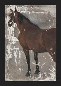 Štúdia koňa By Jozef Hanula-7