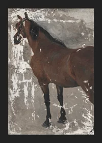 Štúdia koňa By Jozef Hanula-7