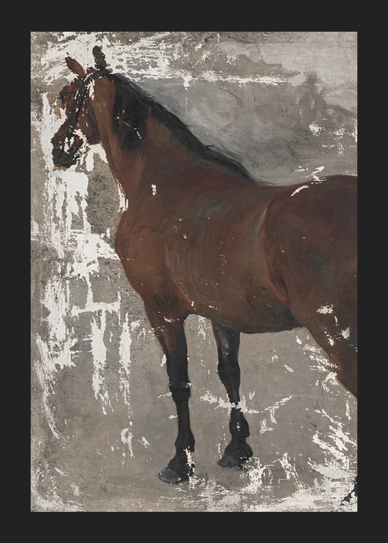 Štúdia koňa By Jozef Hanula-12