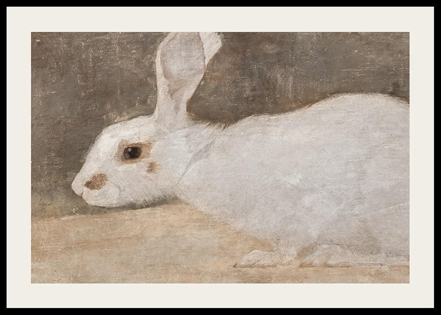 Witte Konijn By Jan Mankes-12
