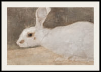 Witte Konijn By Jan Mankes-4