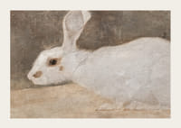 Witte Konijn By Jan Mankes-5