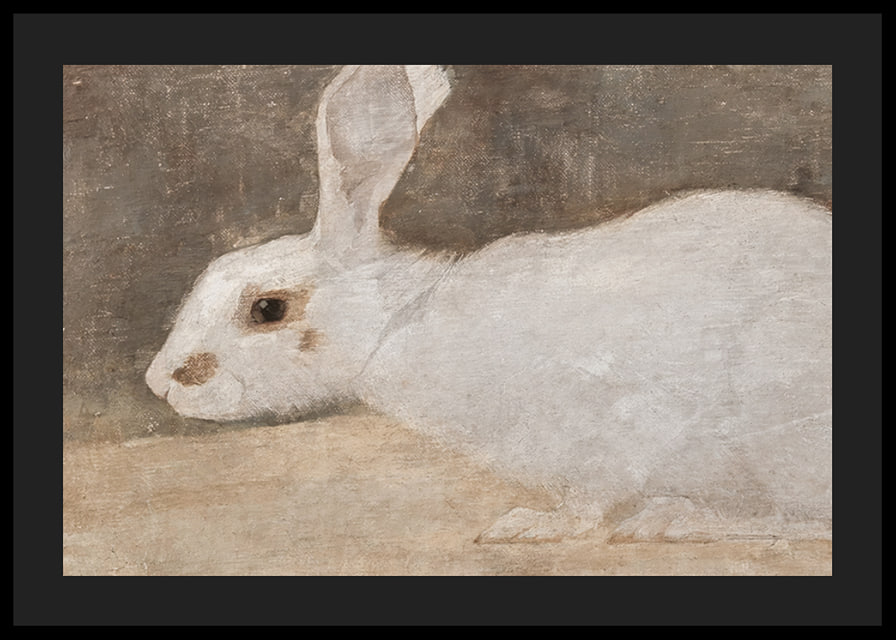 Witte Konijn By Jan Mankes-12
