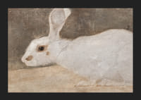 Witte Konijn By Jan Mankes-7