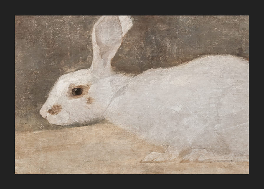 Witte Konijn By Jan Mankes-12