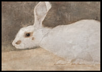 Witte Konijn By Jan Mankes-8