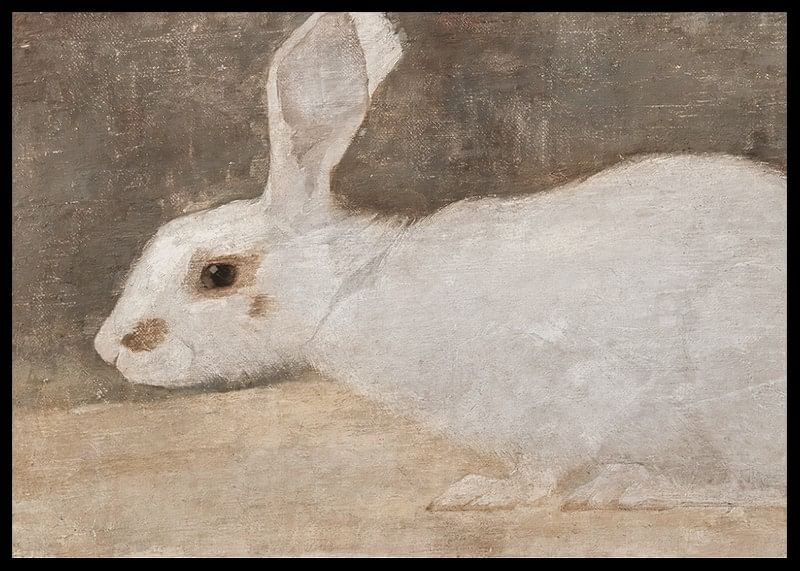 Witte Konijn By Jan Mankes-12