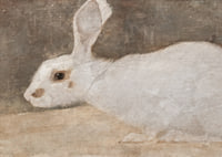 Witte Konijn By Jan Mankes-9