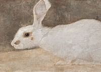 Witte Konijn By Jan Mankes-3