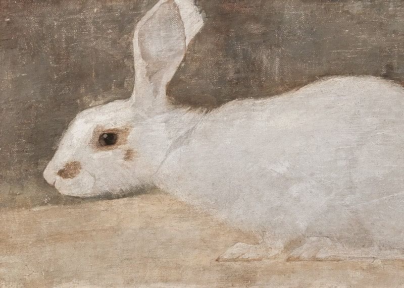 Witte Konijn By Jan Mankes-12