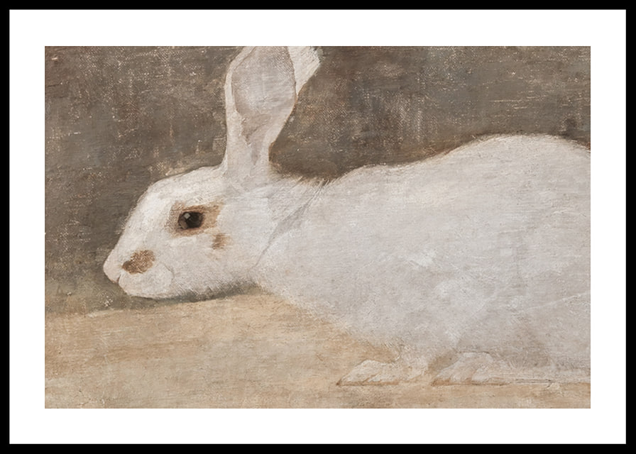 Witte Konijn By Jan Mankes-12
