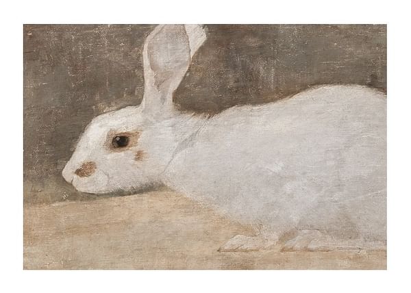 Plagát Witte Konijn By Jan Mankes