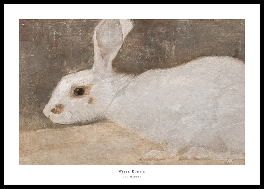 Witte Konijn By Jan Mankes-12