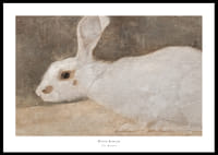 Witte Konijn By Jan Mankes-0