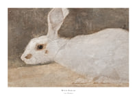 Witte Konijn By Jan Mankes-1