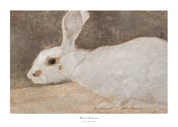 Affiche Witte Konijn By Jan Mankes