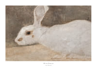 Witte Konijn By Jan Mankes-1