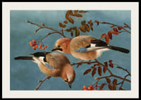 Jays By Ferdinand Von Wright-4