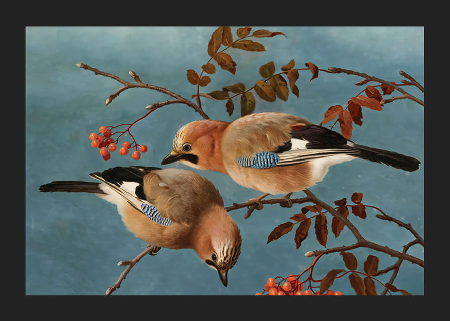 Jays By Ferdinand Von Wright-12